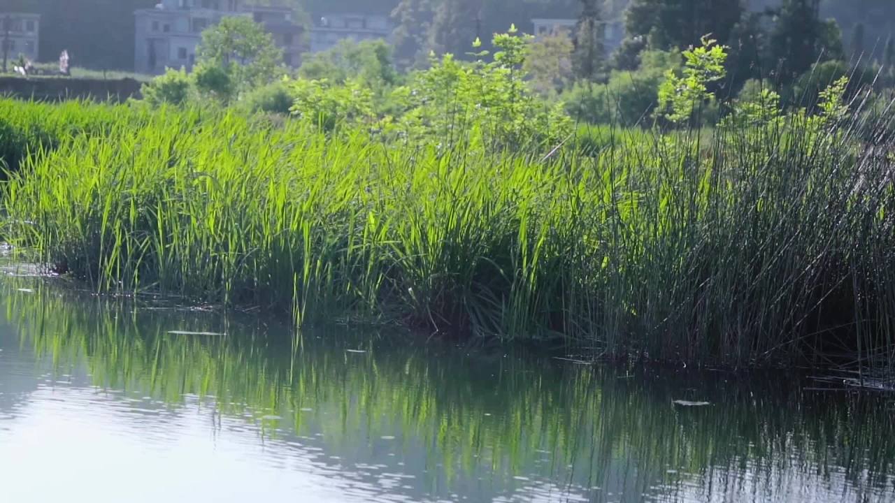湖畔静谧时光