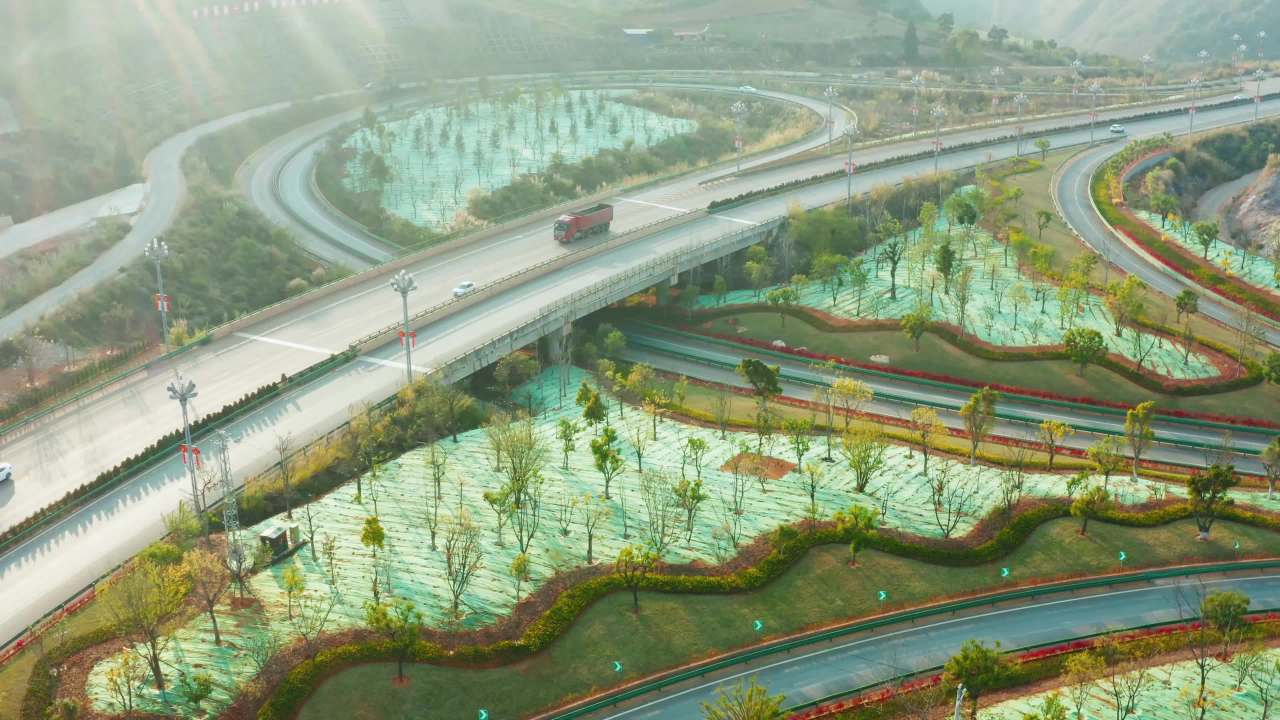 清晨繁忙的高速公路