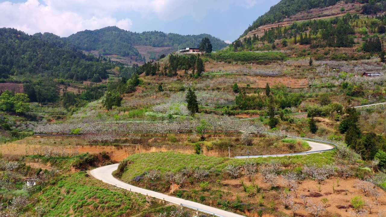 山间梯田春色