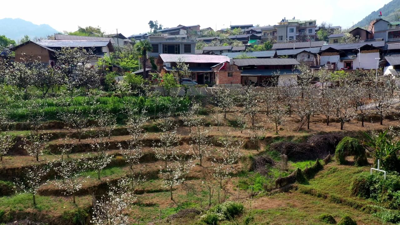 春日乡村风光