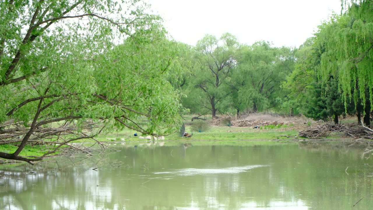 南海子公园 4