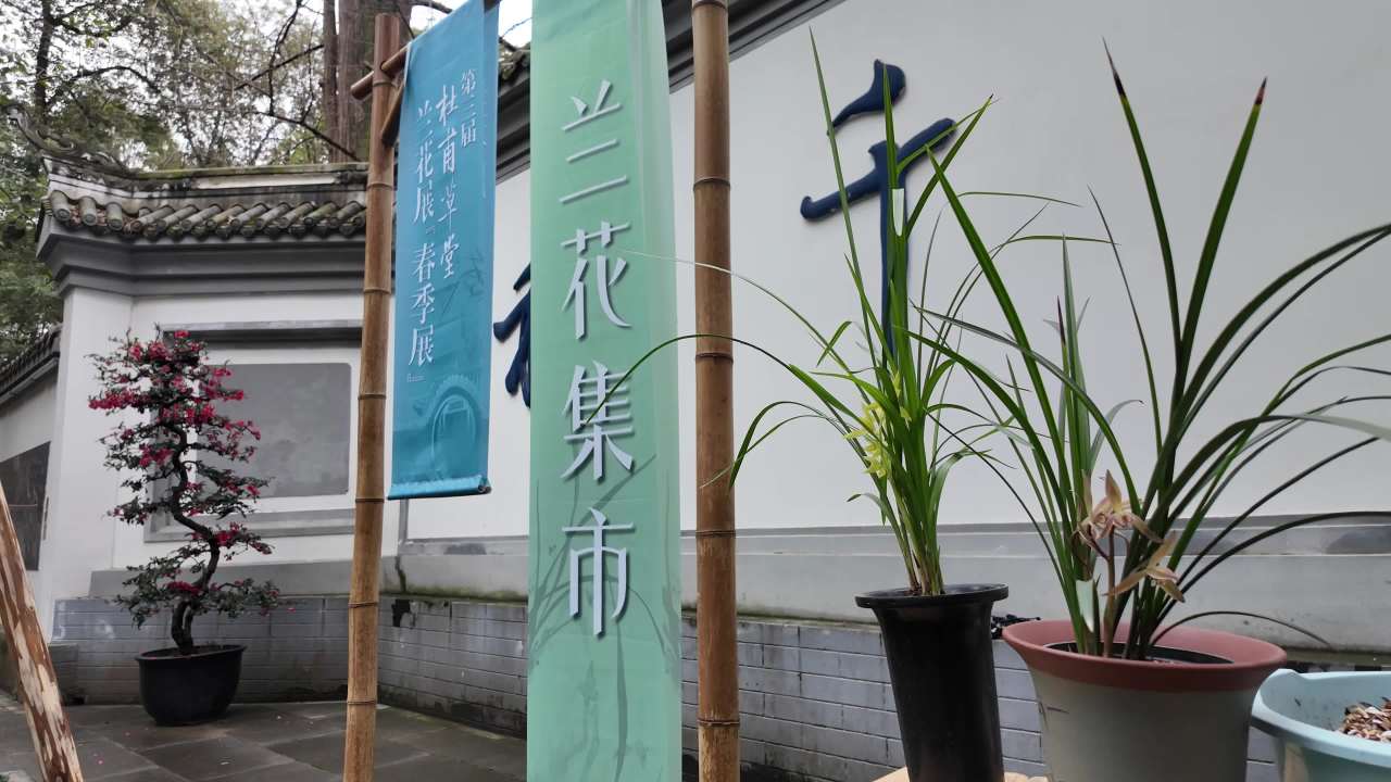citywalk之成都杜甫草堂 17