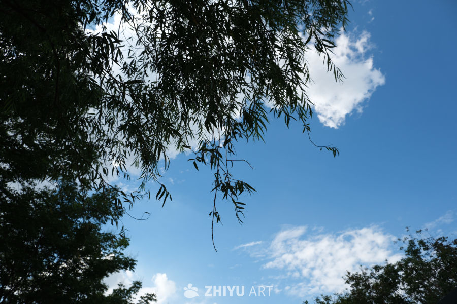 【实拍样片】富士X-T5相机实拍照片原片 13
