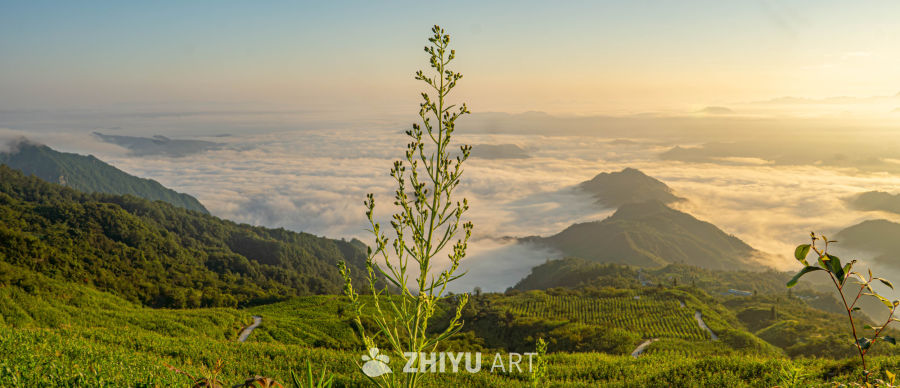 山间云海日出美景