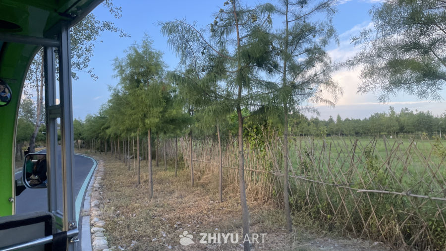 绝美天空 10