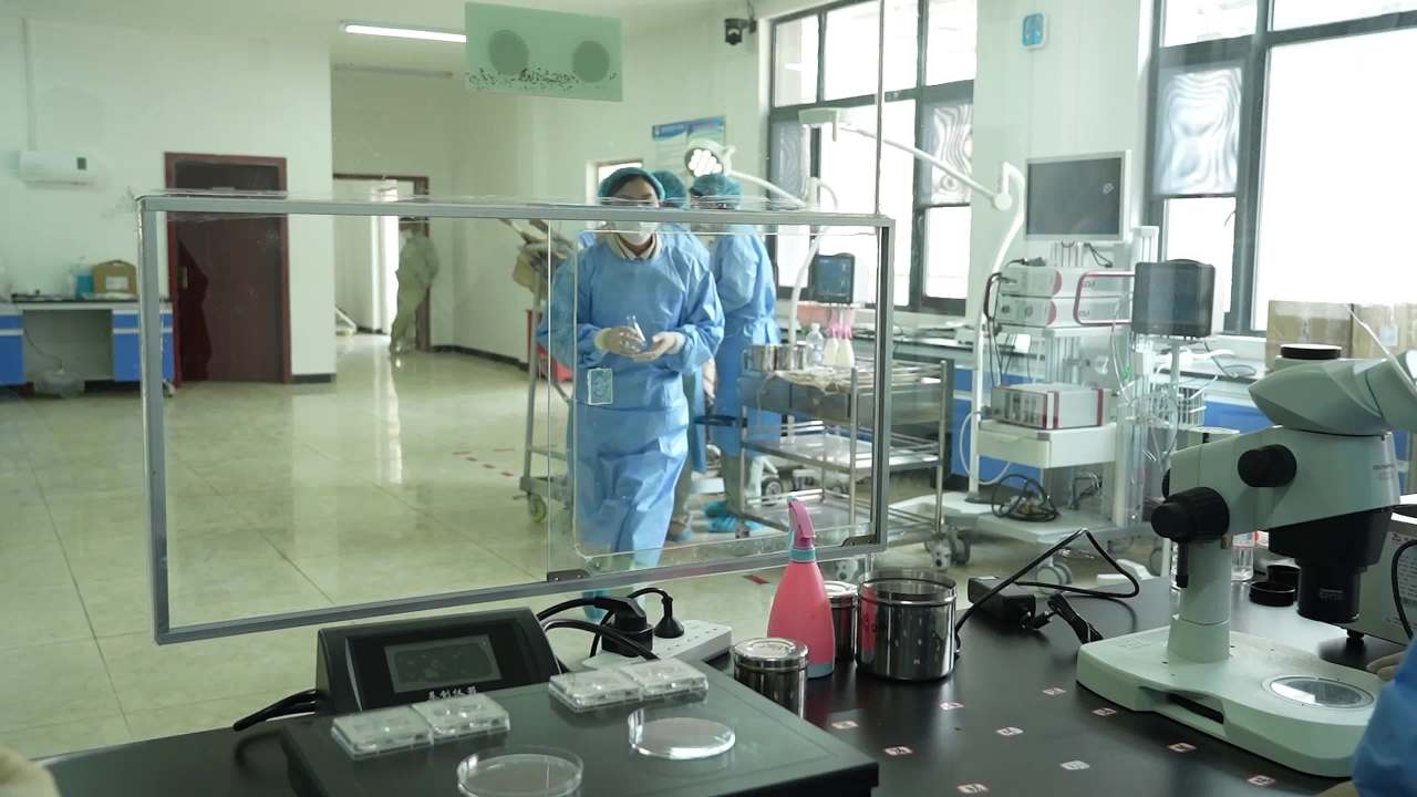 兽医胚胎手术操作及实验室检查