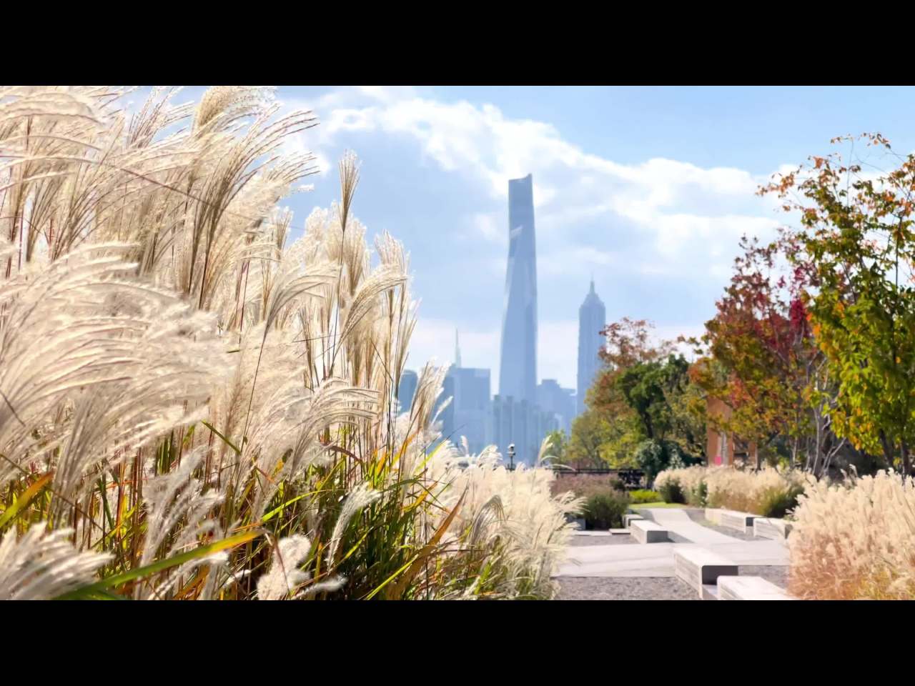 都市秋景：高楼与芦苇的对话