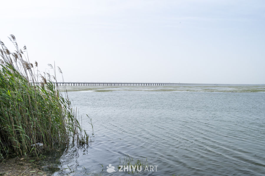 石臼湖风光 10