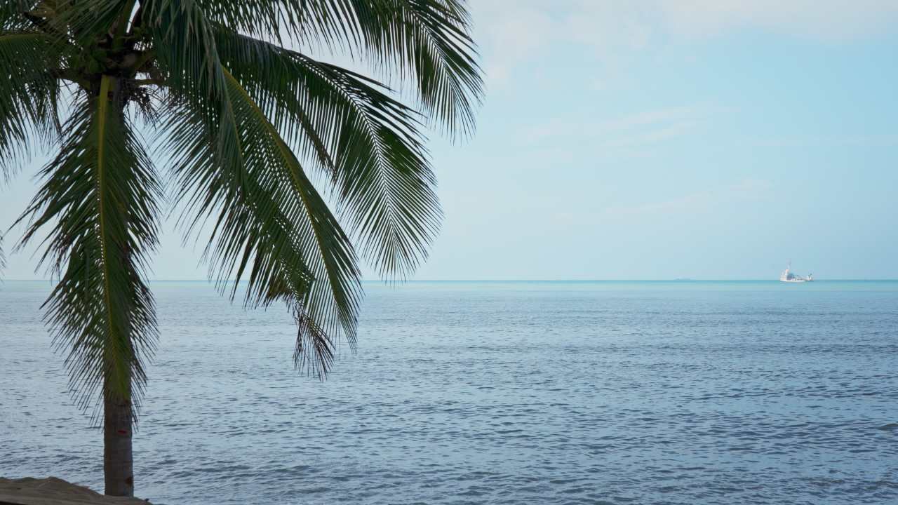 海南三亚海边海浪实拍视频-6 2025.8.8 15