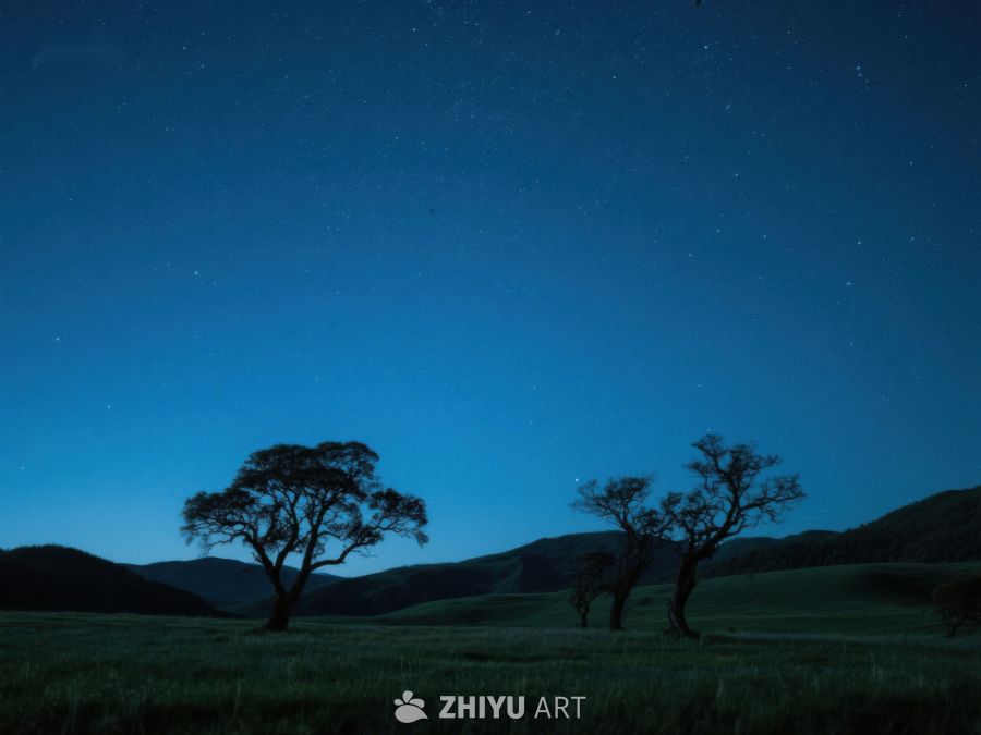 夜空下的孤树与草地 311