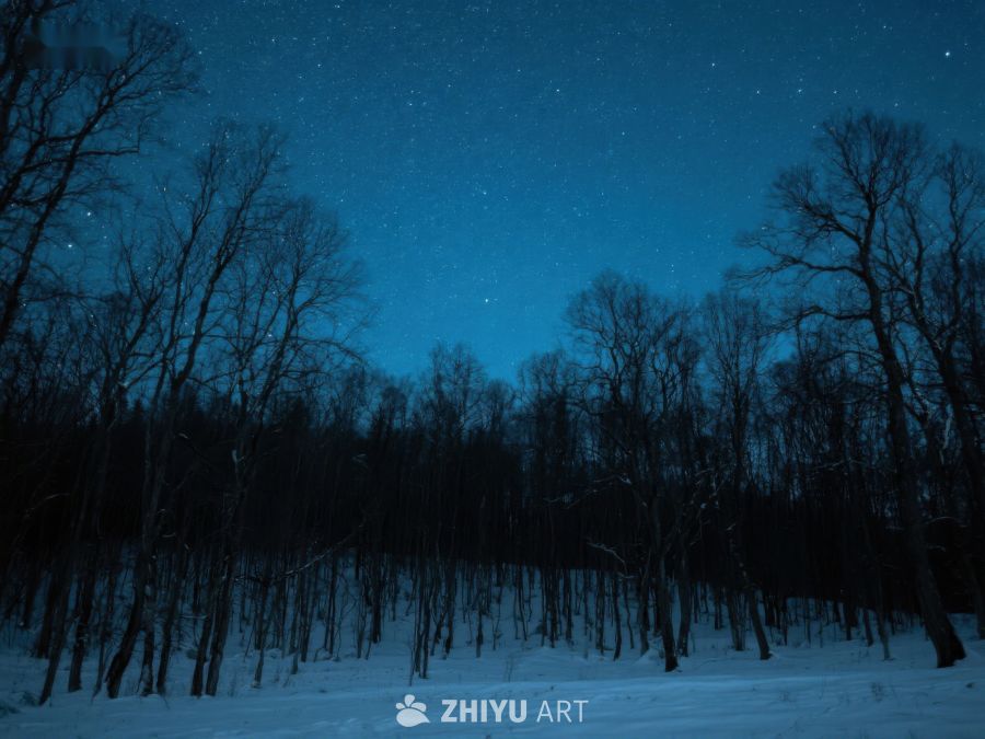 冬夜星空下的寂静森林 14