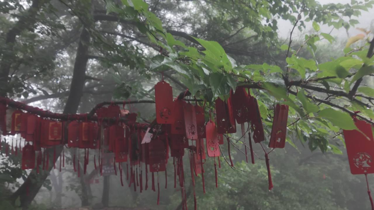 老君山福牌