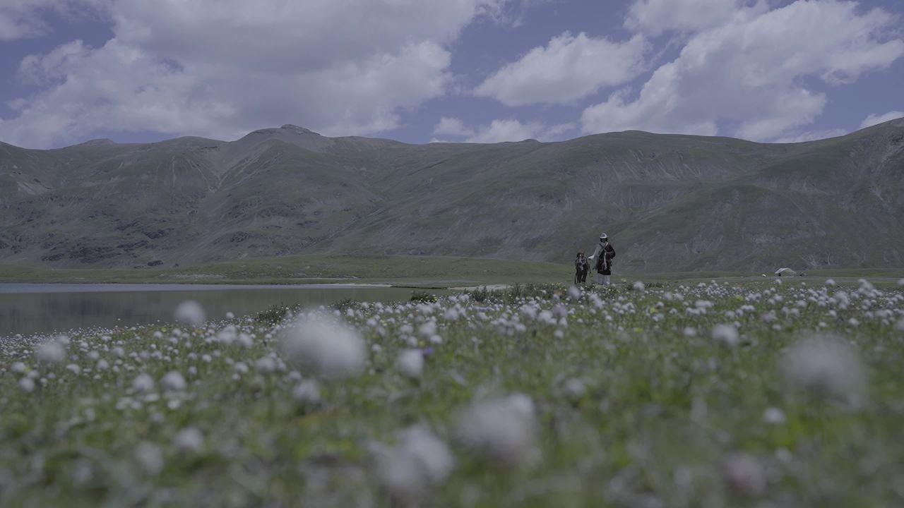 高原草原牧马人行走湖畔