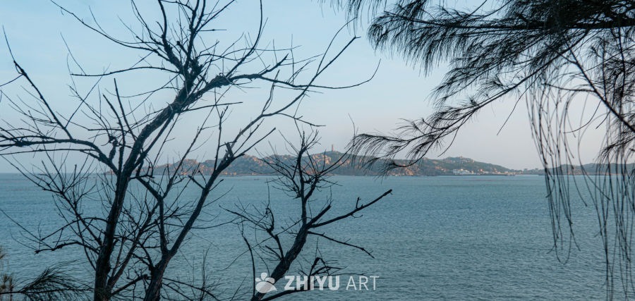 海岸枯树远山图