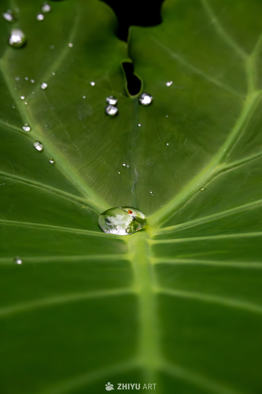 小水滴