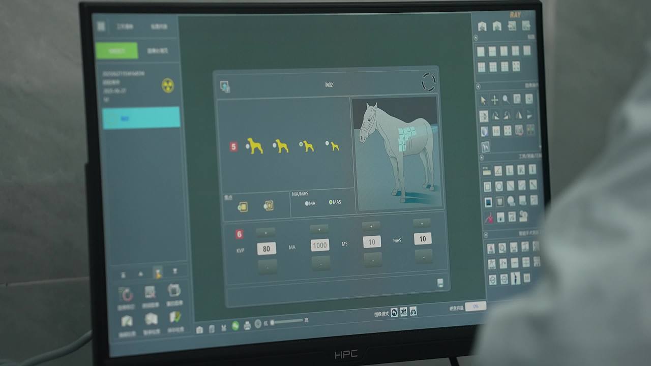 畜牧兽医团队工作记录