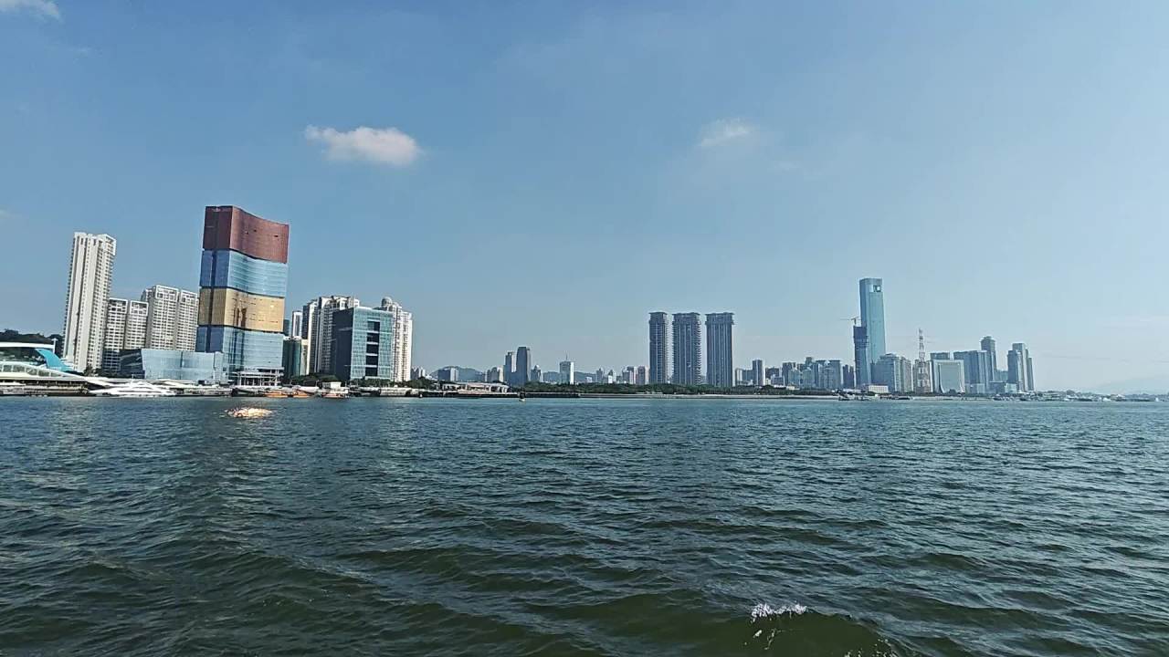 厦门海对岸的大楼