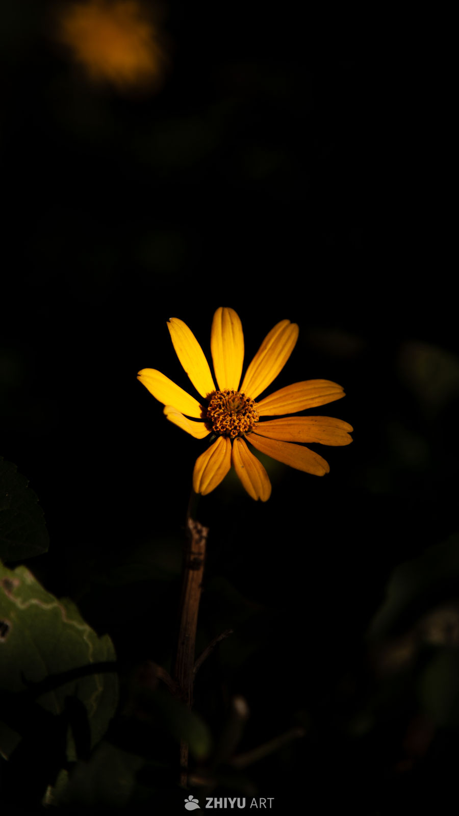 花