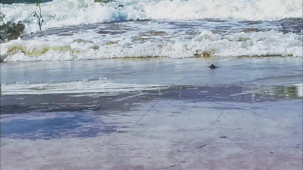 金沙江水