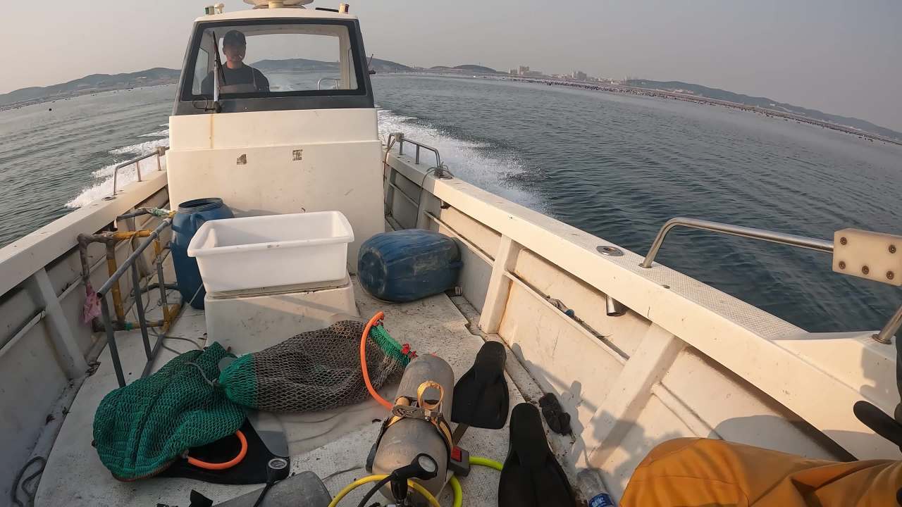 深海捕捞海参