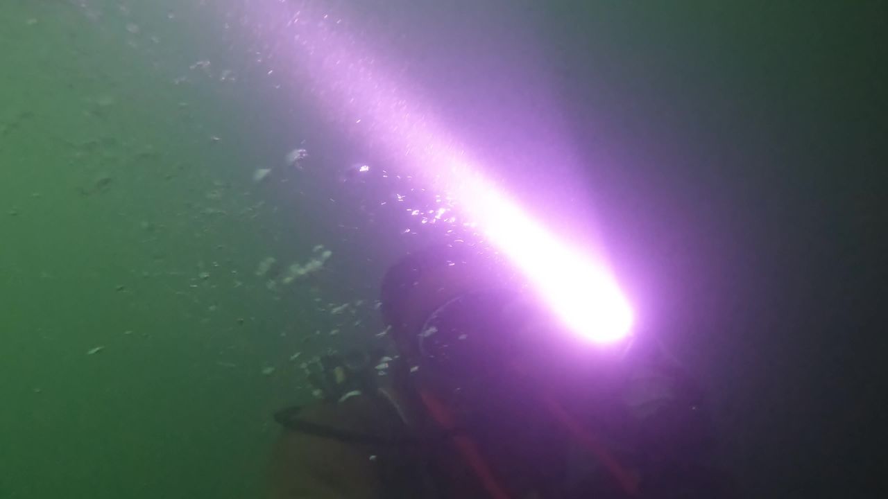 深海捕捞海参