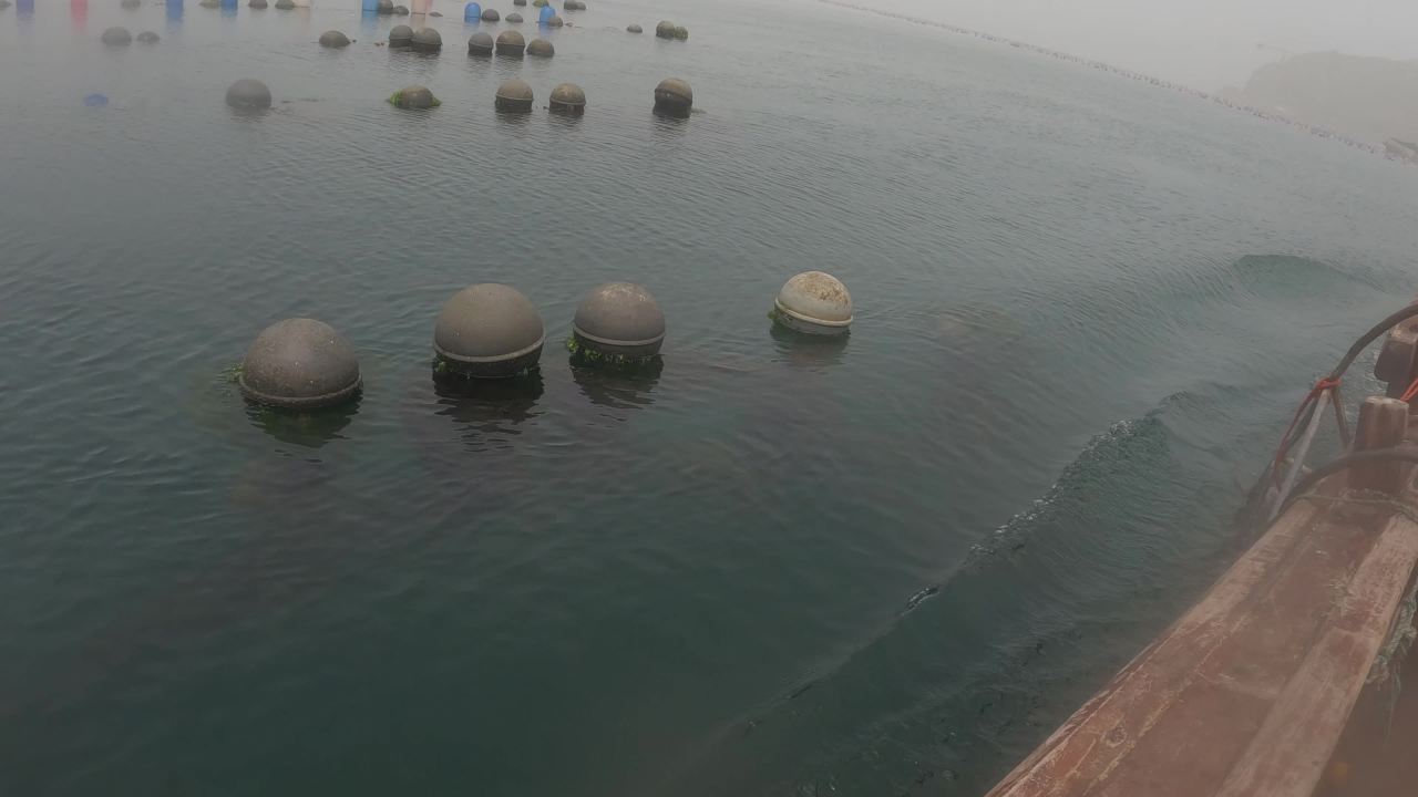 深海捕捞海参