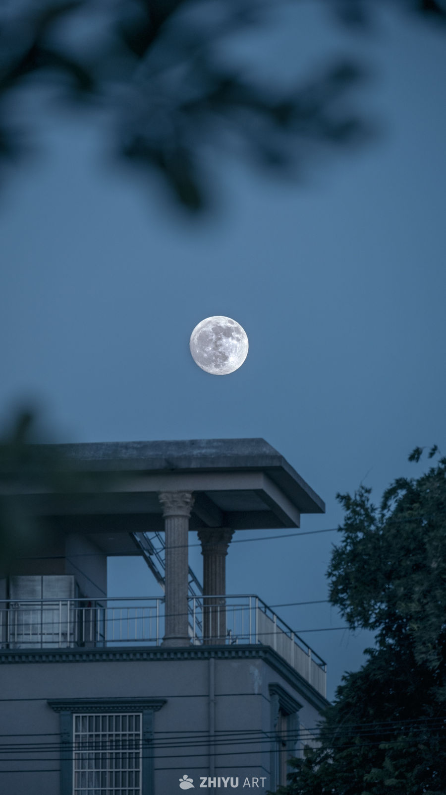月下城市夜景