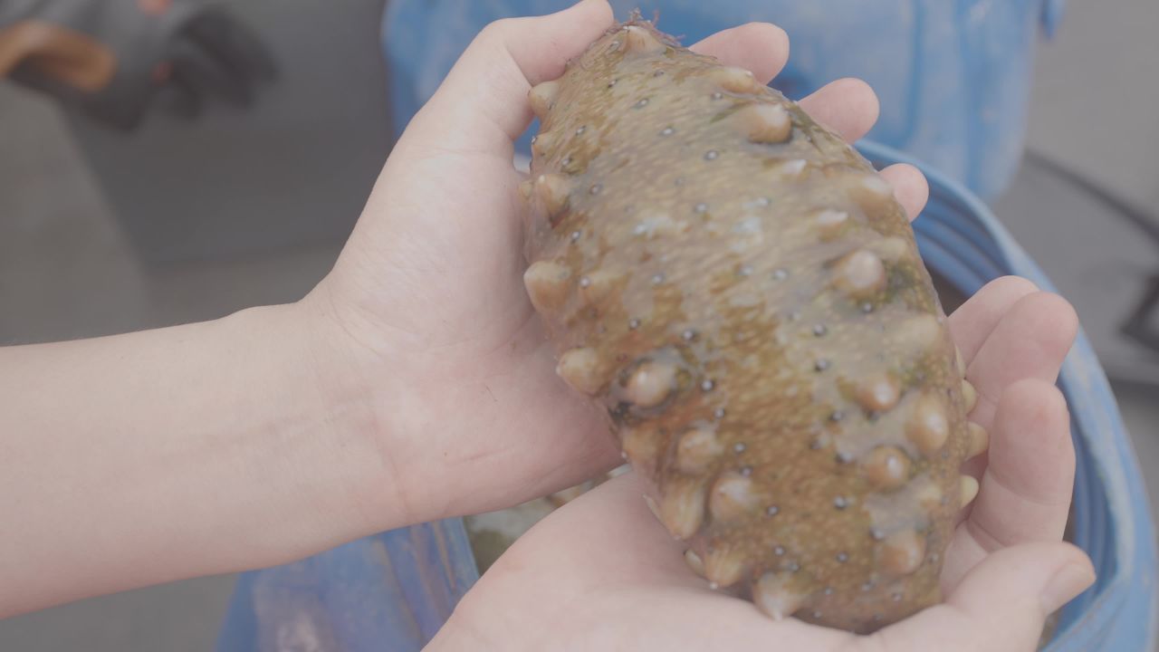 渔船捕捞海产现场