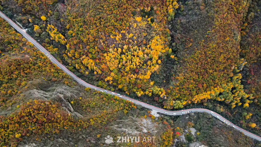 兰州七里河区云顶山秋景 9