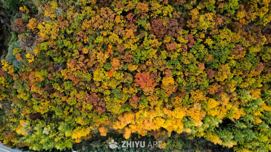 兰州七里河区云顶山秋景 13