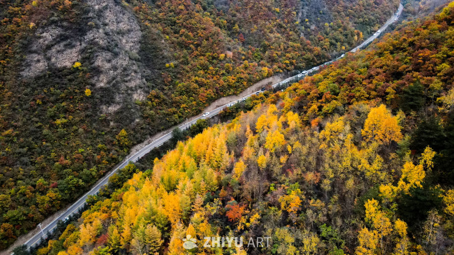 兰州七里河区云顶山秋景 19