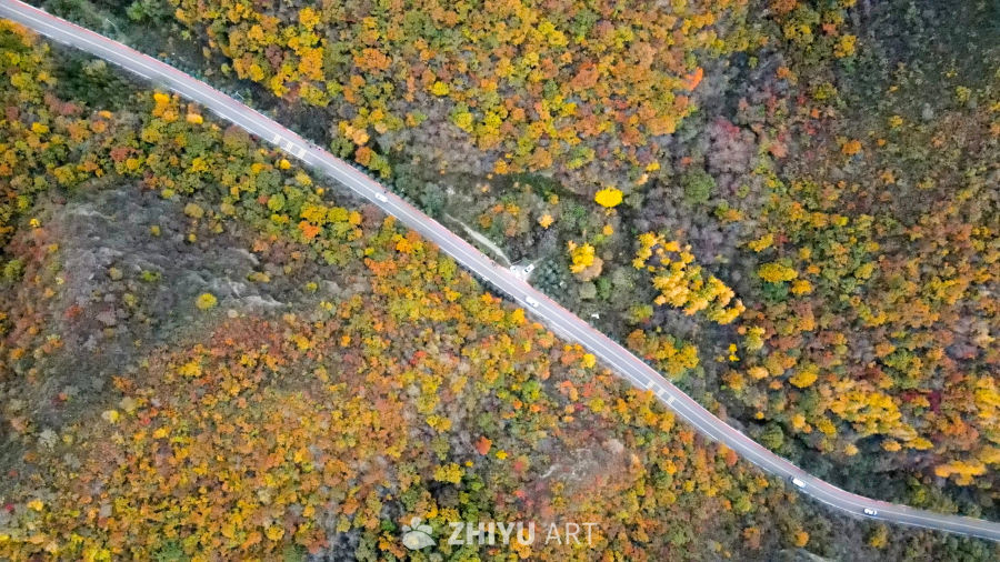兰州七里河区云顶山秋景 21