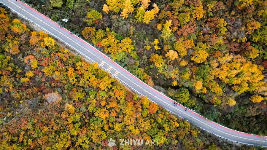兰州七里河区云顶山秋景 24