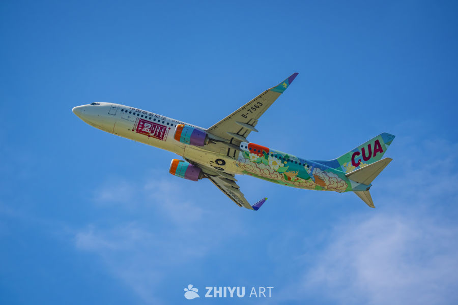 大展鸿图 2