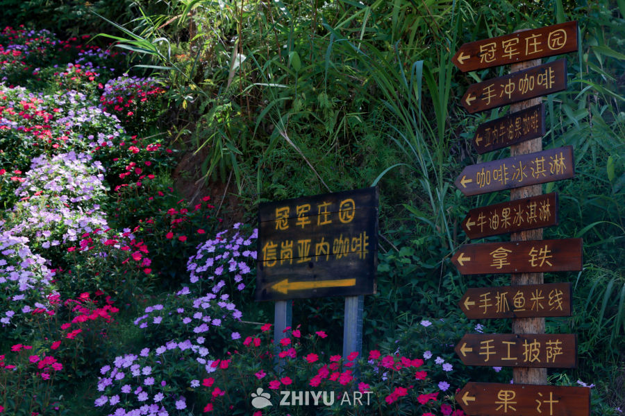 《花草簇拥的咖啡食光：冠军庄园里的亚内咖啡与美食探险路标》