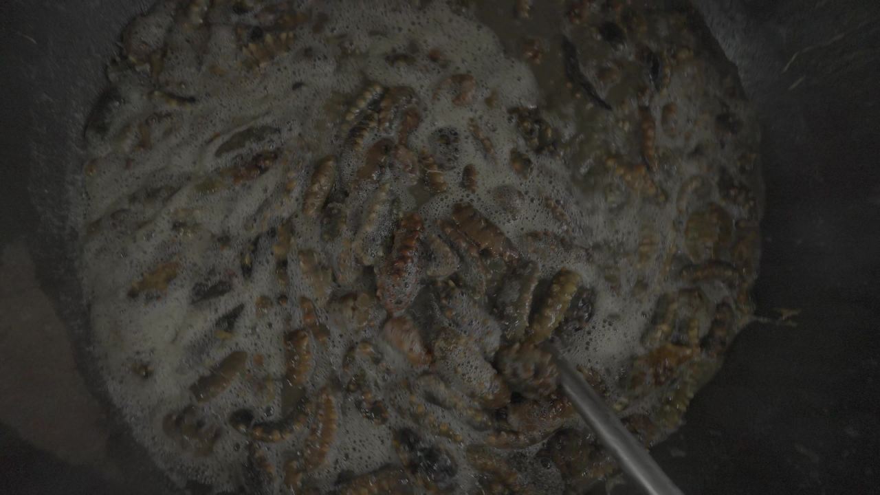 海参加工生产流水线