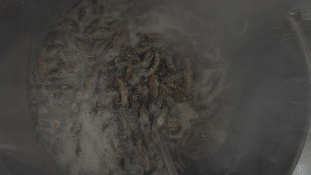 海参加工生产流水线