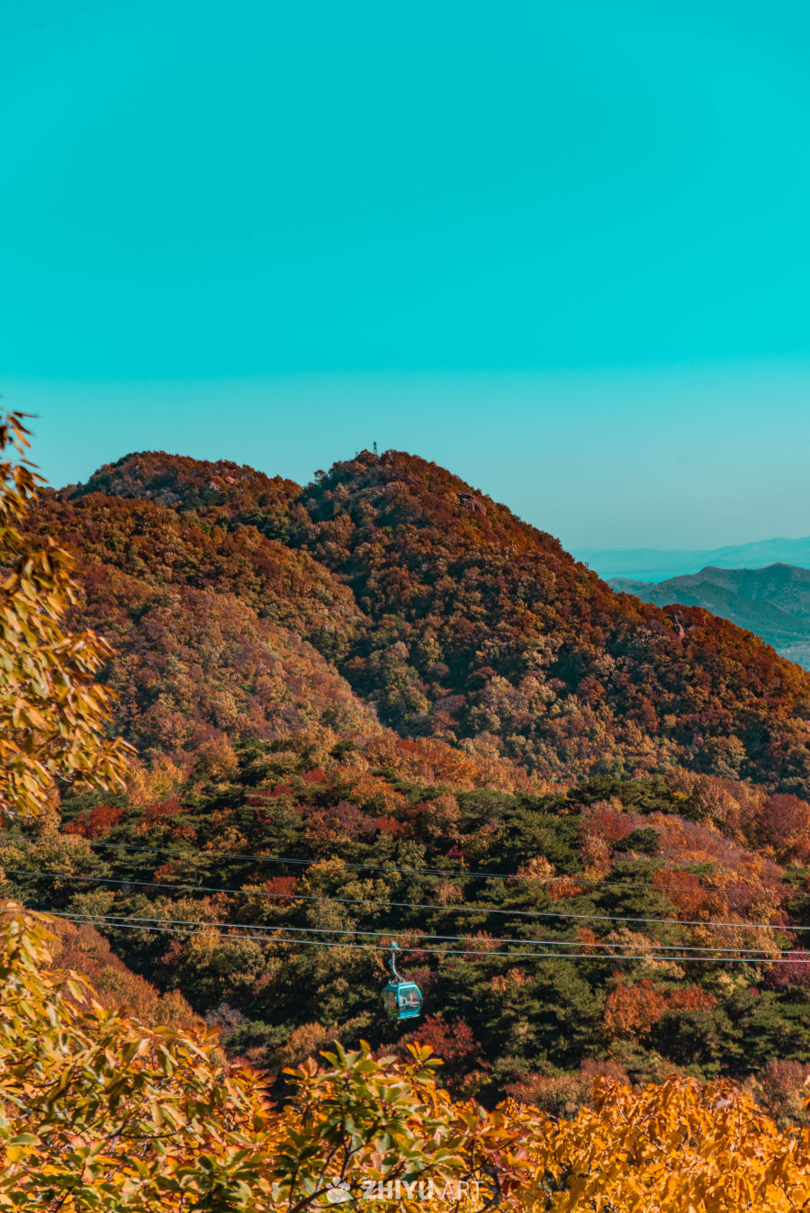 盘山红叶