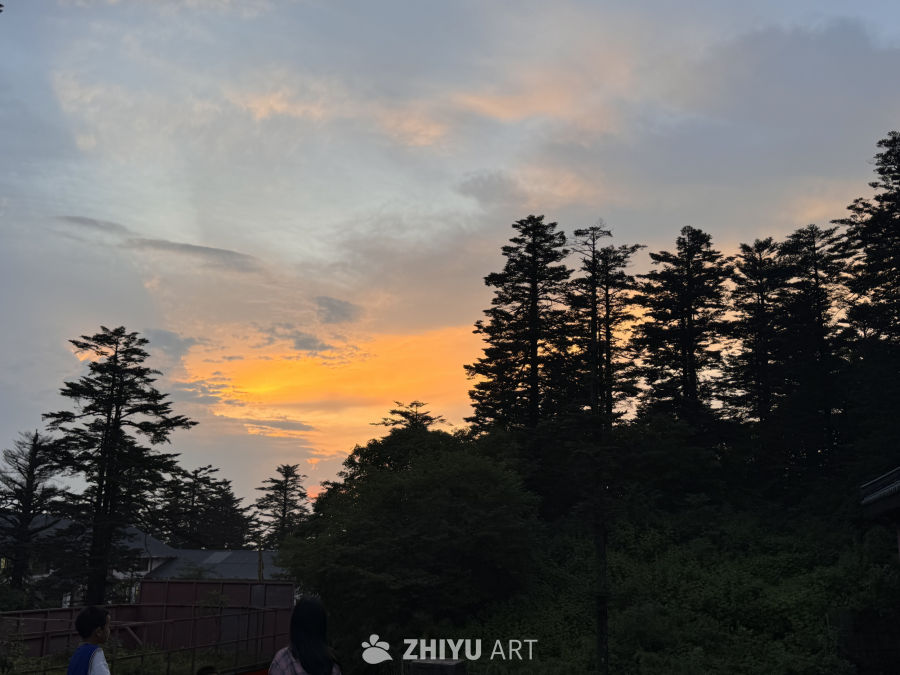 暮色林间