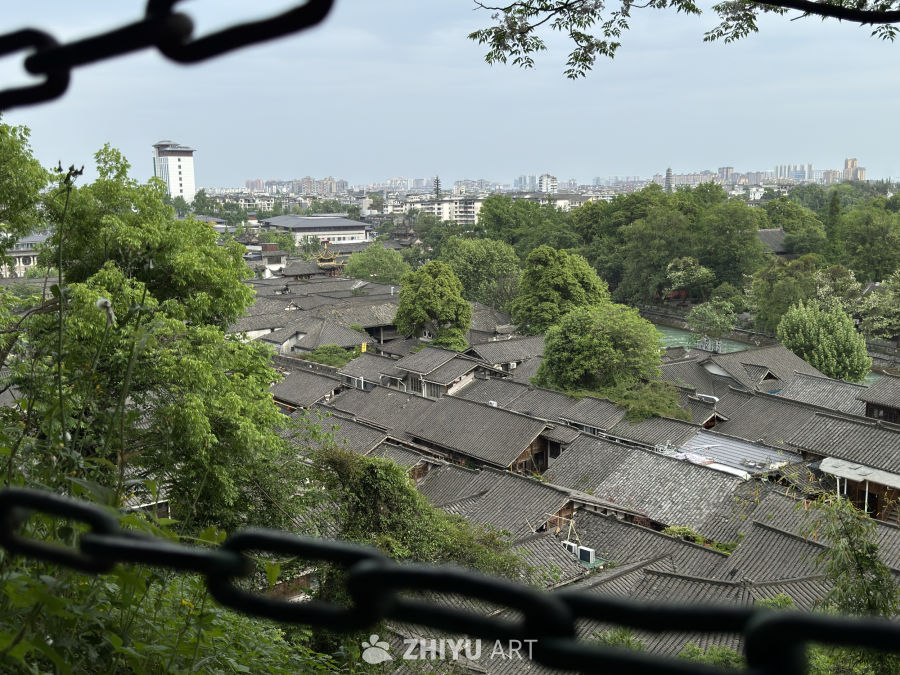 古街俯瞰：绿意与瓦韵