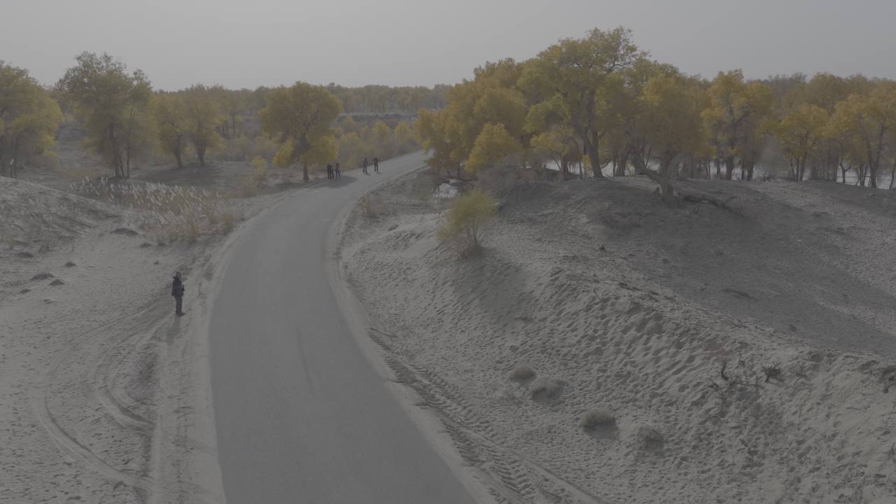 秋日公路航拍
