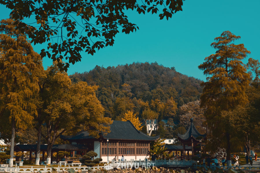 公园建筑