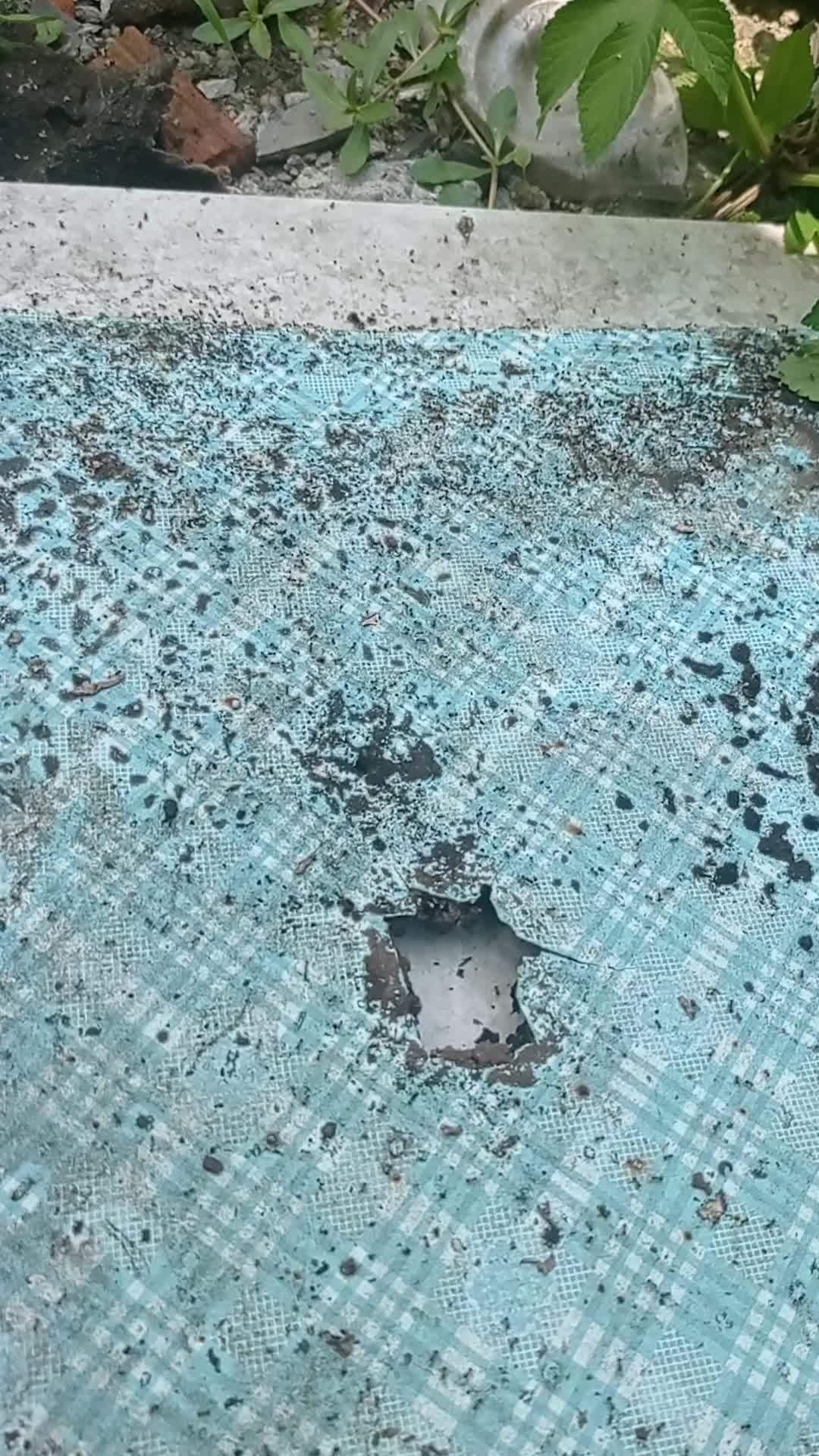 角落的蚂蚁