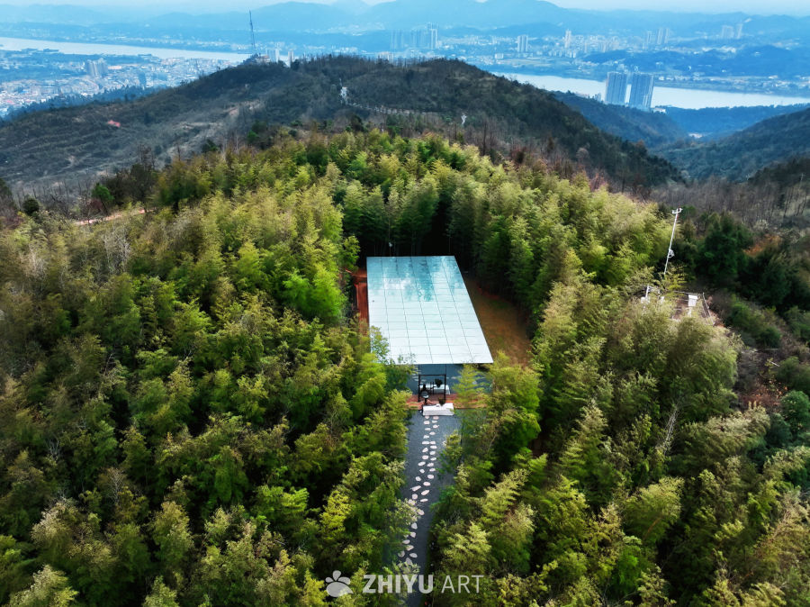 竹林中的现代建筑