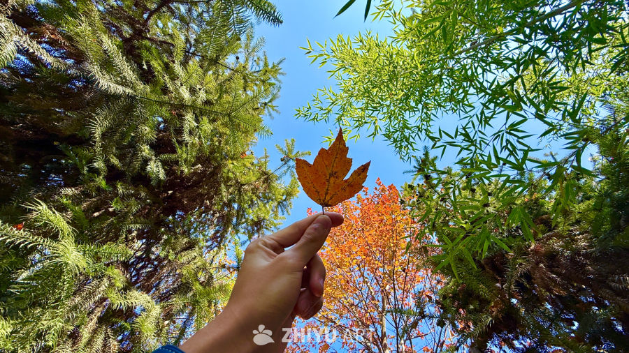 麻阳风景照