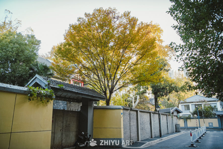 一场秋天