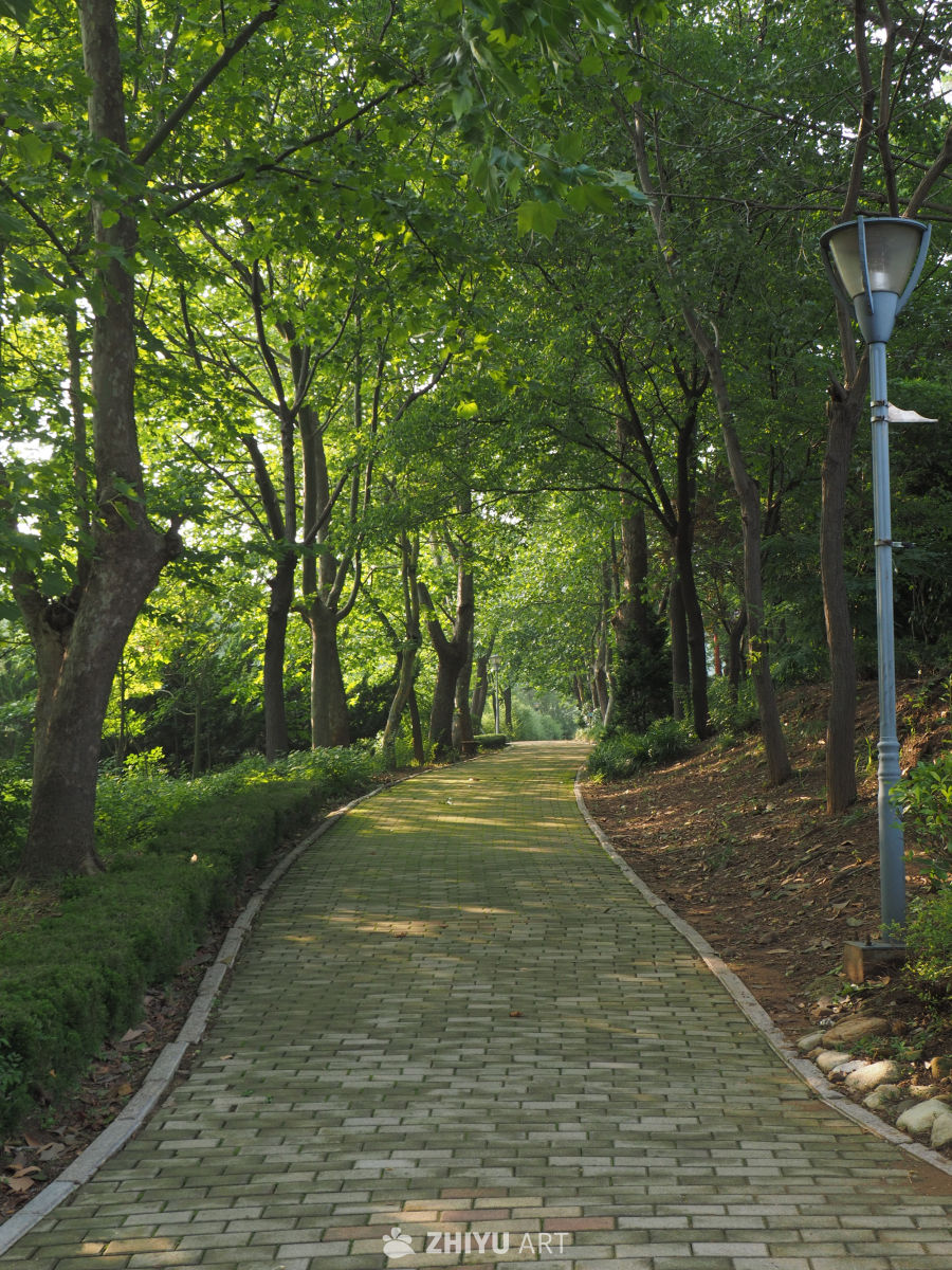 林间小路