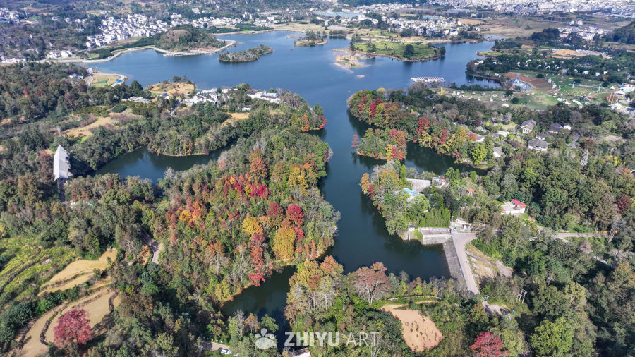 航拍水边枫叶美景  初冬枫叶似火 36