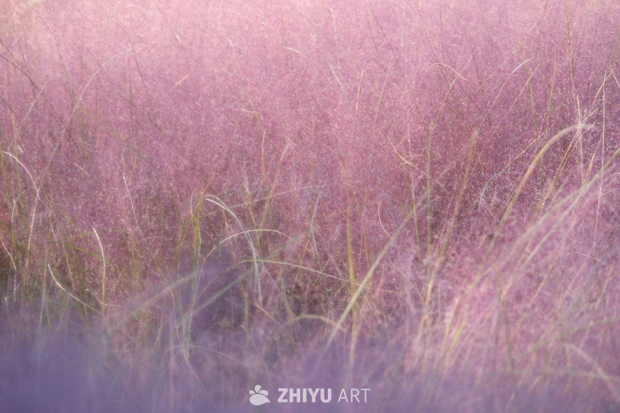 奥森粉黛 2