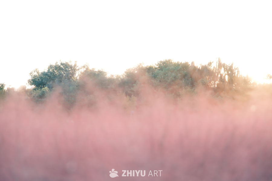 奥森粉黛 10